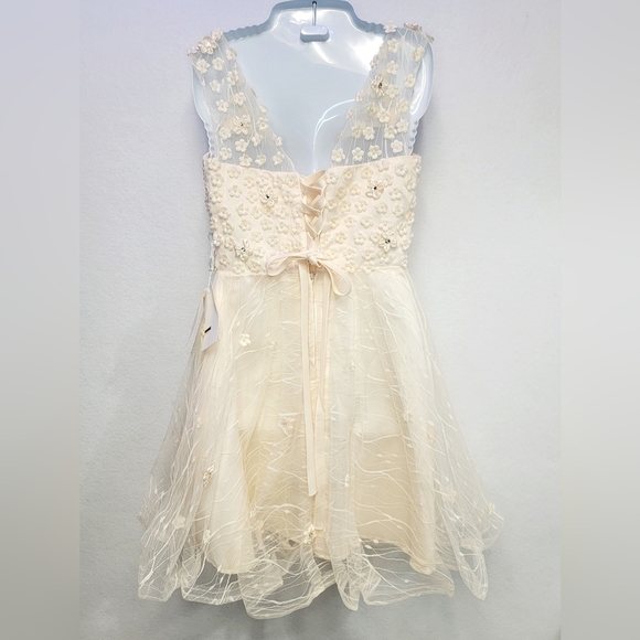 TS COUTURE Women's Size 2/4 Sleeveless Dress, Lined, Tulle skirt, Embroi… - Picture 5 of 15